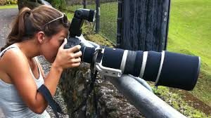 300mm prime or longer zoom lens for wildlife photography?