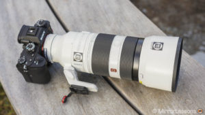 300mm prime or longer zoom lens for wildlife photography? - BlogInstall