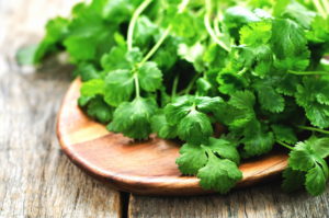 Coriander Benefits , properties and disadvantages - BlogInstall