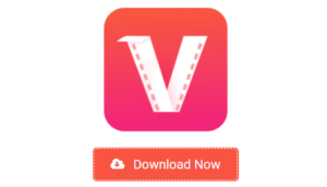 Why is Vidmate app so popular in 2022? Advantages and disadvantages