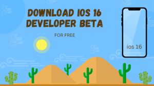 How to Download iOS 16 Developer Beta for Free on iPhone